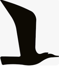 Sneakerpeeker Gutscheincodes